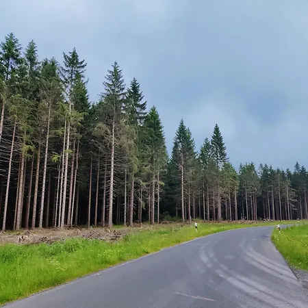 Holiday home Forest Escape With Terrace, Cleaning Included