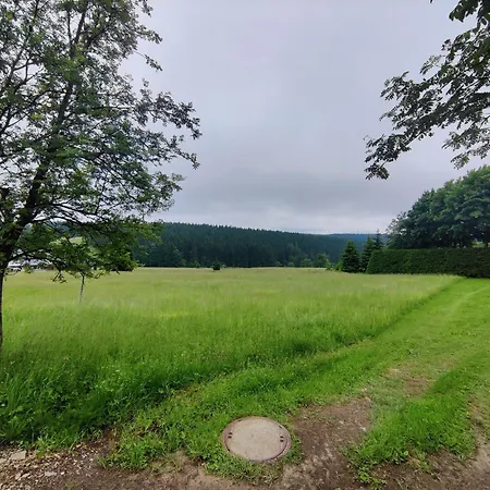 Forest Escape With Terrace, Cleaning Included Eisfeld