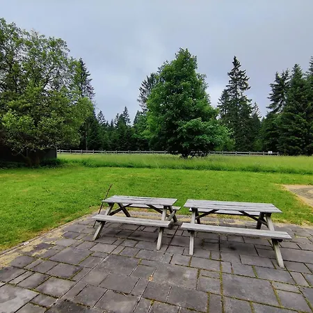 Forest Escape With Terrace, Cleaning Included Holiday home *