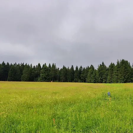 Forest Escape With Terrace, Cleaning Included Holiday home Eisfeld