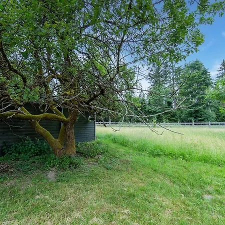 Forest Escape With Terrace, Cleaning Included Holiday home